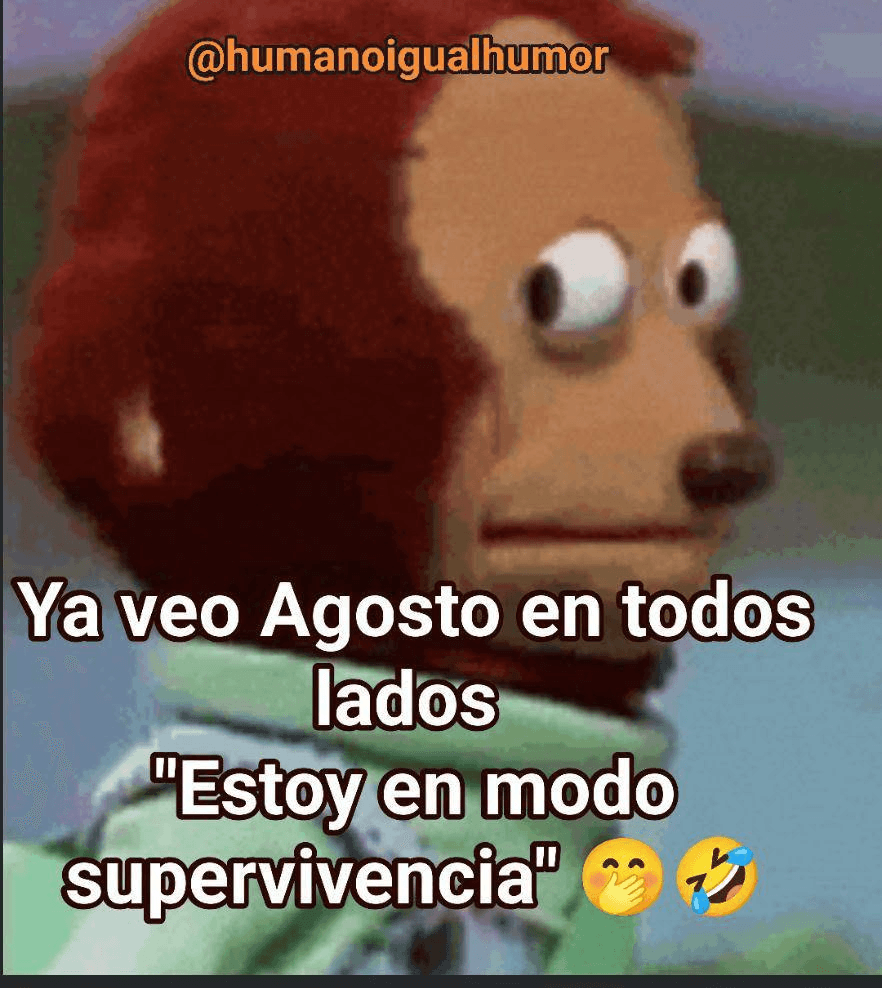 Meme de un personaje sorprendido con el texto Ya veo agosto en todos lados, estoy en modo supervivencia